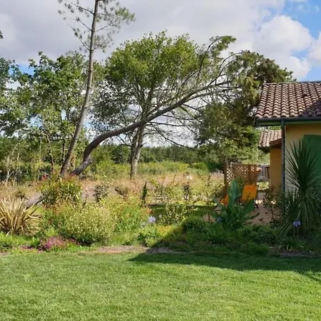 Nice Double With Pool And Private Terrace * Parentis-en-Born